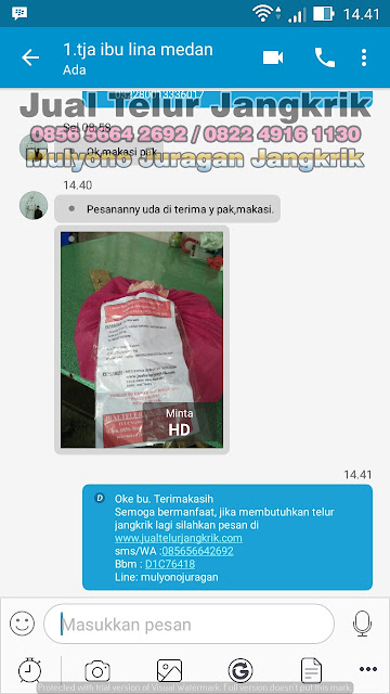 budidaya jangkrik, cara beternak jangkrik, cara budidaya jangkrik, cara ternak jangkrik, jual telur jangkrik, ternak jangkrik