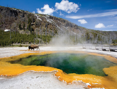 Yellowstone National Park United States