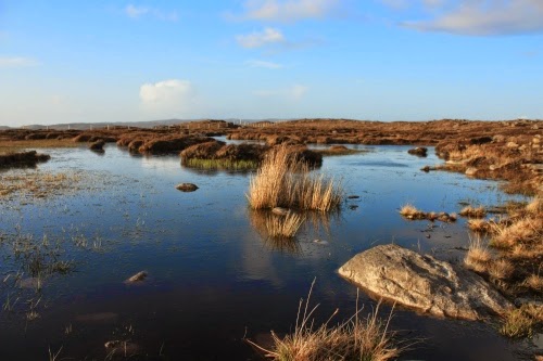 Instead of contradicting the biblical timeline and the Noachian Flood, peat bogs actually present a much younger earth than many uniformitarian methods indicate.