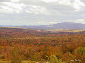 annecharriere.com, couleurs d'automne, 