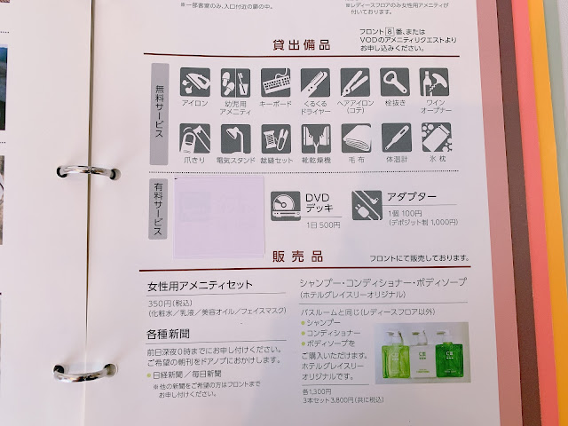 【宿泊記】ホテルグレイスリー銀座 / レディースシングル「充実の美容家電と宝塚が見れる素敵ルーム」