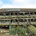 St Katherine's Docks | London Lunching