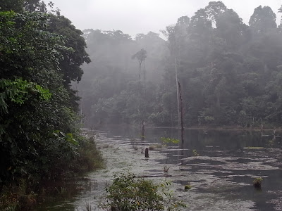 Indah Tapi Tercemar