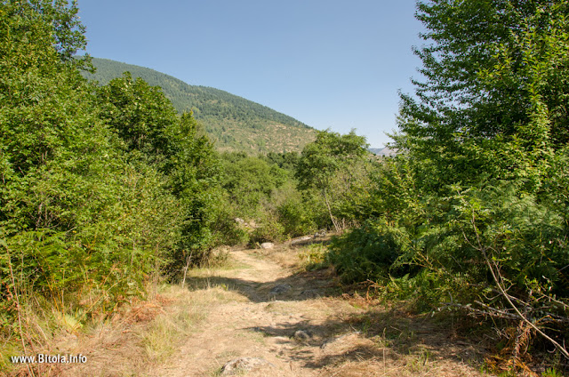 Mountain track - Dihovo village, Bitola, Macedonia