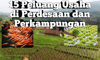 peluang usaha di pedesaan