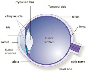 Simple eye diagrams | Easy eye diagram | Labeled eye diagram