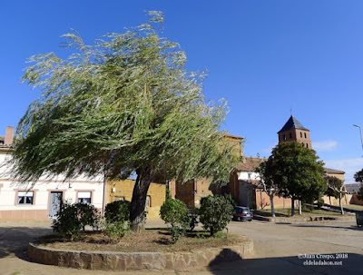 ruta-bici-murcia-santiago