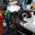 Gravíssimo acidente na PR-151 em Jaguariaíva deixou uma pessoa morta.