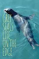 Image: Grey Seals: Life on the Edge | With unparalleled access to a major seal breeding colony on the Blasket Islands, off the west coast of Ireland, this revealing documentary follows the investigation into a random seal attack and the lives of the seals who survived