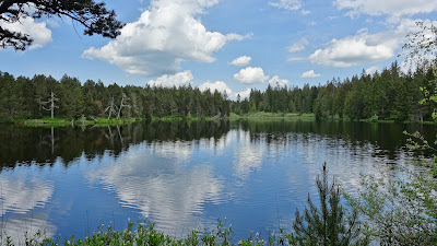 Etang de la Gruère