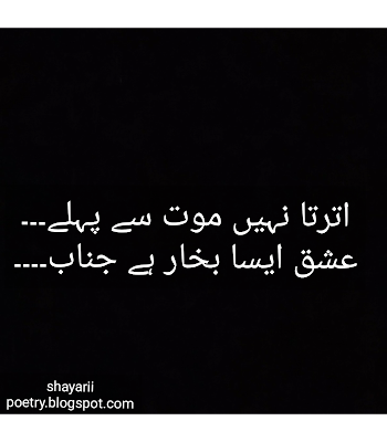 sad shayari | urdu hindi shayari collection