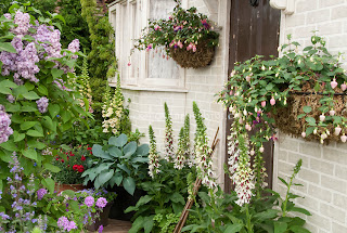 ﻿You do container gardening Stepping Stone to a beautiful home