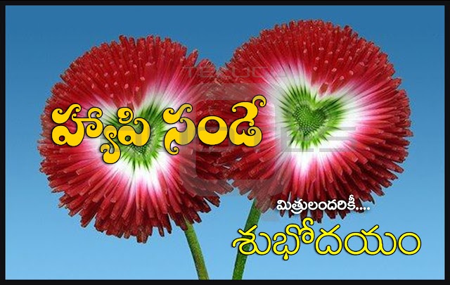 Happy Sunday Images Best Good Morning Quotes and Greetings Telugu Quotations Images