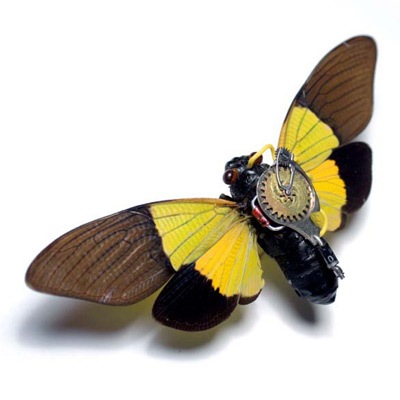 eletricbugs