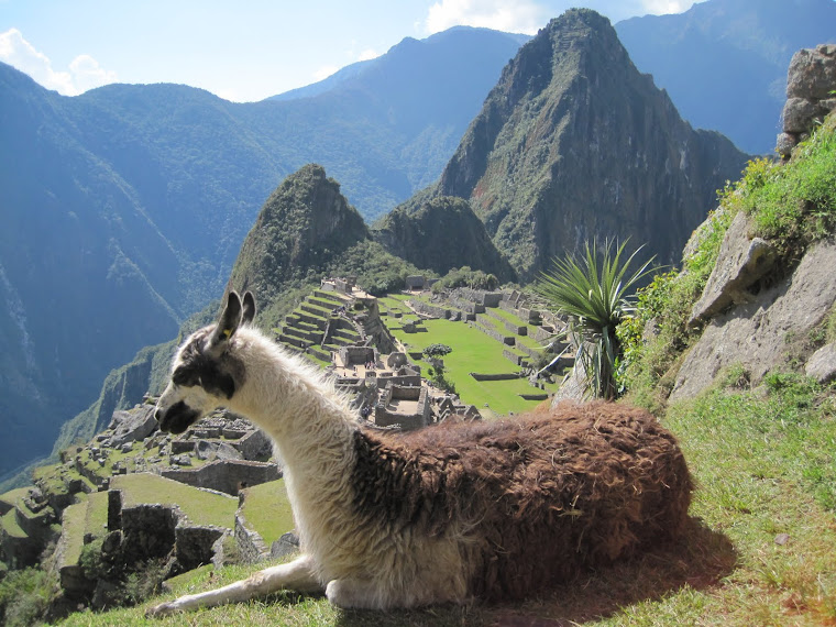 Machu Picchu