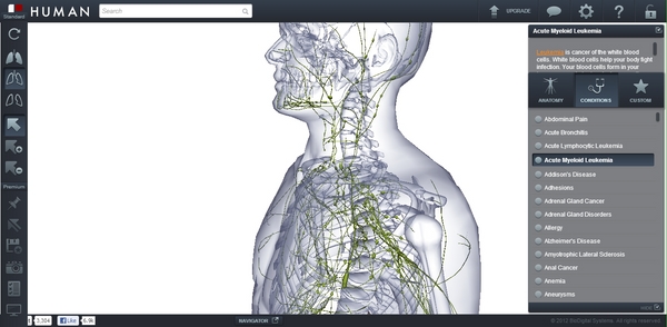 Belajar Anatomi Tubuh Manusia Secara Virtual Dengan The BioDigital Human