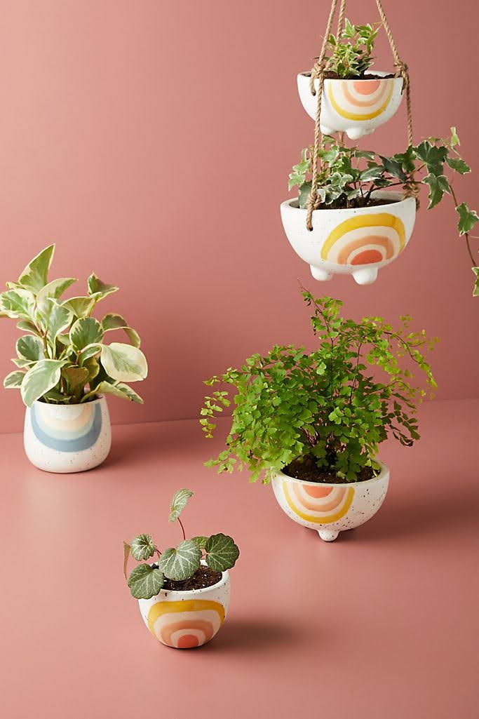 Iris Rainbow Pot | Anthropologie