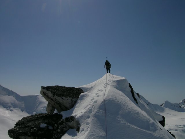 阿爾卑斯式登山