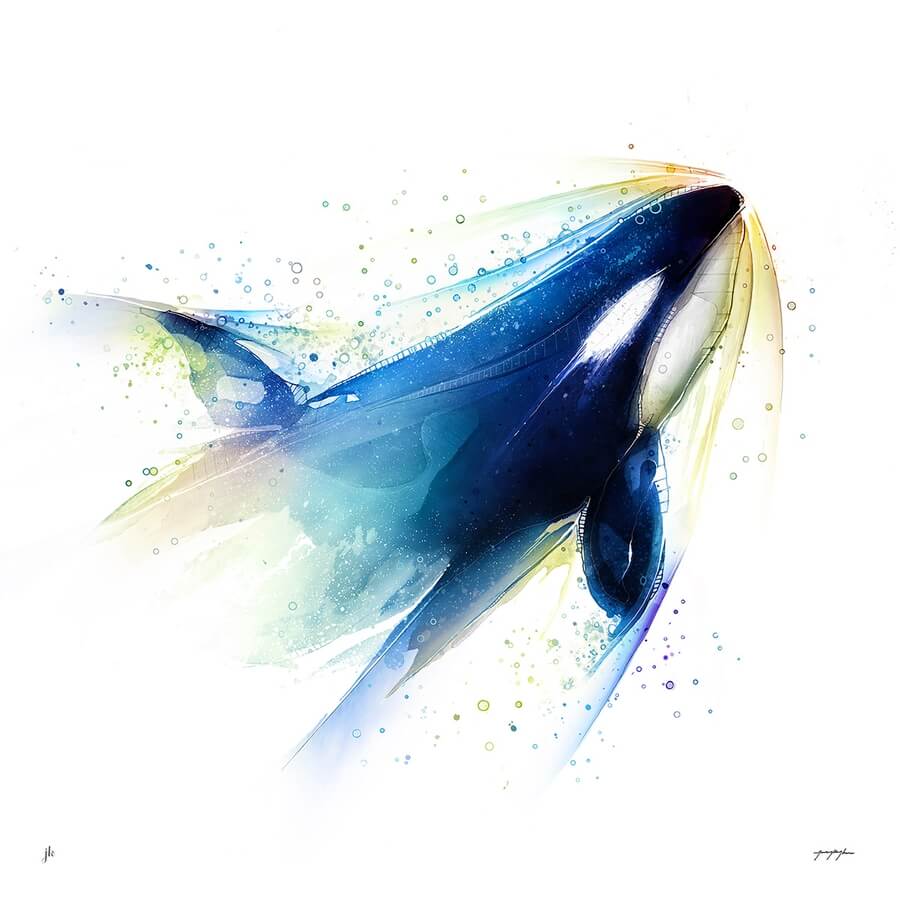01-Orca-Whale-Wildlife-Art-Jeremy-Kyle-www-designstack-co