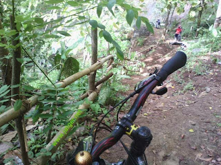 Curug Tamansari Semoyo Patuk