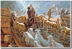 noah