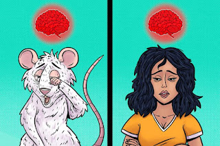 Here you get what is the disadvantage of not getting enough sleep. Some studies which show how it's affect the brain..and many more