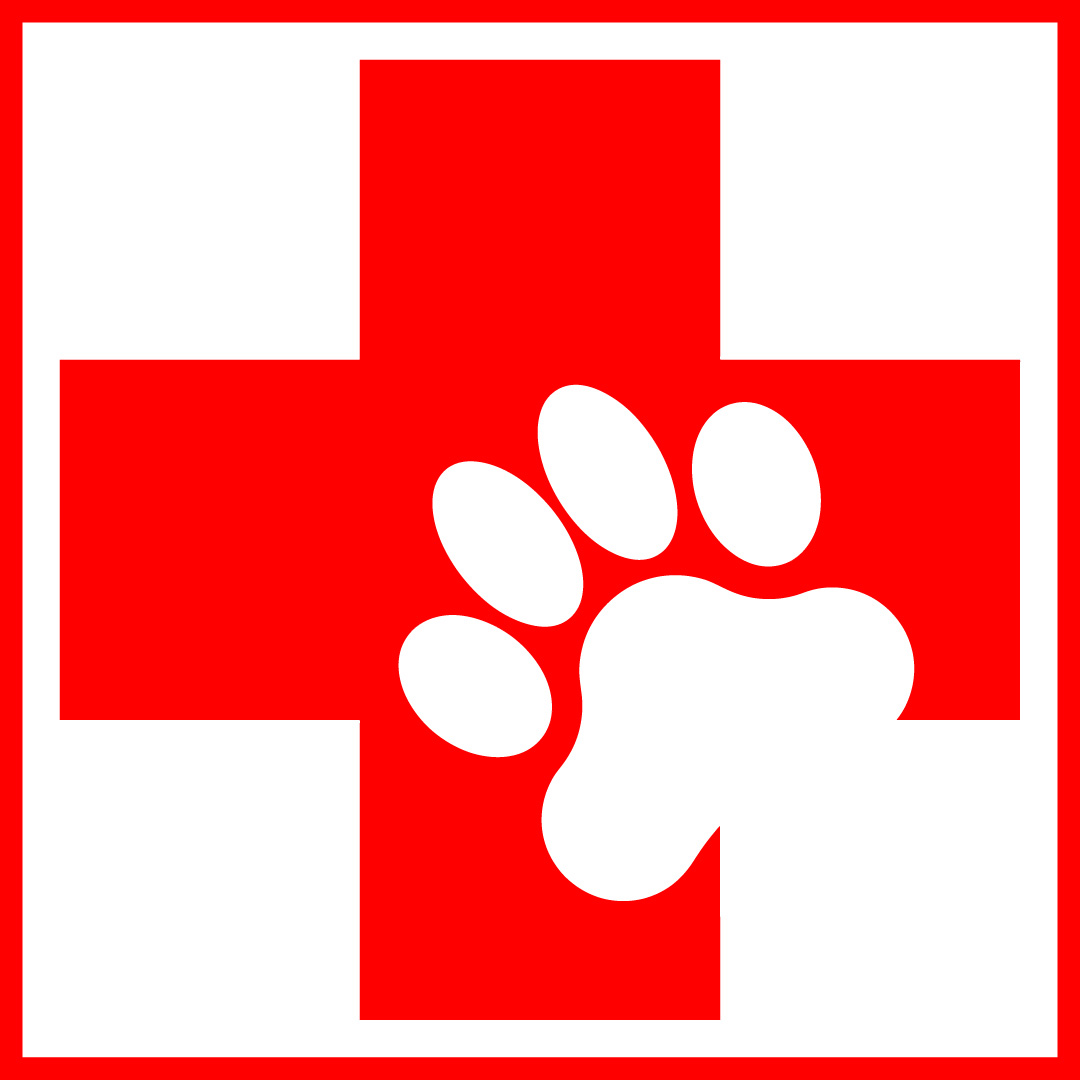 Deal with pets: Pet First Aid