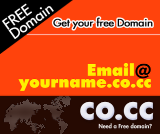 Domain Co.Cc Kembali Terindex Google Lagi