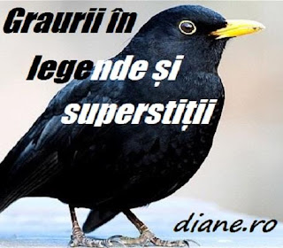 Graurii: legende și superstiții