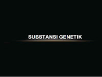 SUBSTANSI GENETIK PRESENTATION