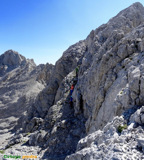 Ruta a Torre Bermeja, Coello, Tiro del Oso y Boada desde el Refugio de Cabrones en Macizo Central de Picos de Europa