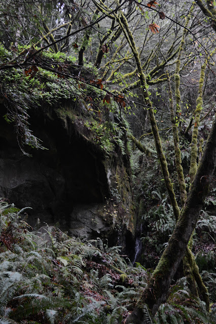 Buddha Head rock, say the geocachers, or at least a few