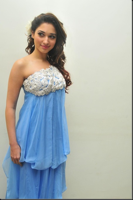Oosaravelli-audio-function-photos-47