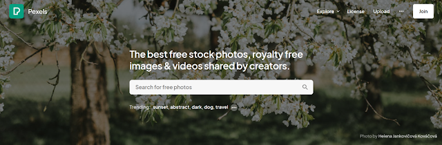 An image of the homepage of pexels website
