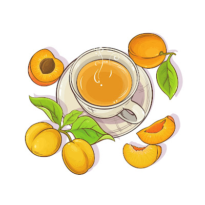 70+ Cartoon images of Apricot fruit