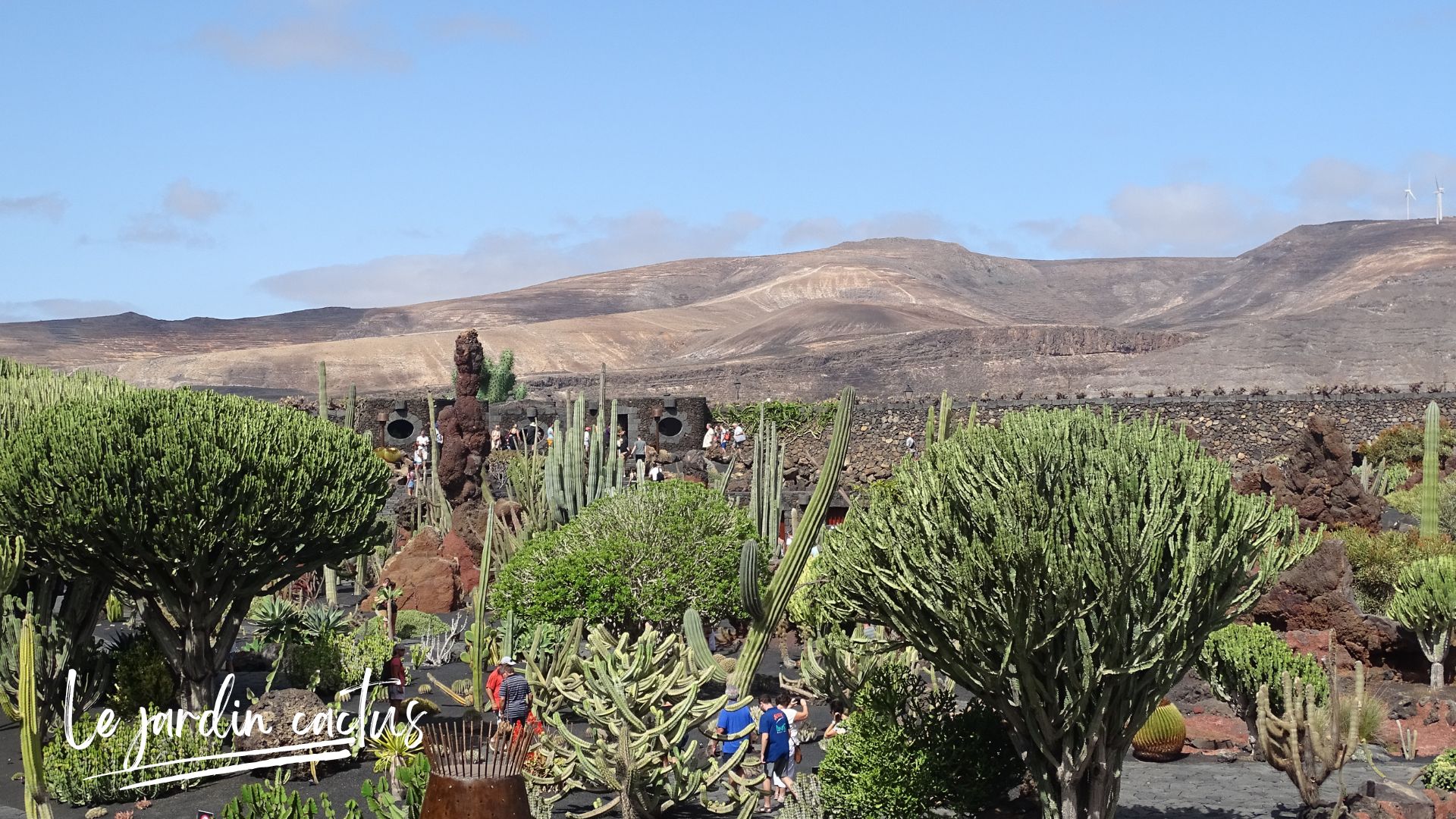 jardindecactuslanzarotenerife