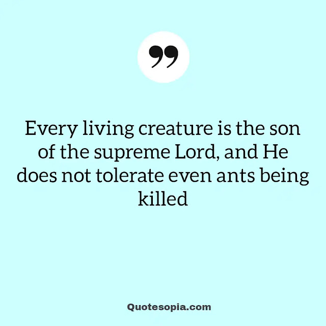 "Every living creature is the son of the supreme Lord, and He does not tolerate even ants being killed" ~ A. C. Bhaktivedanta Swami Prabhupada