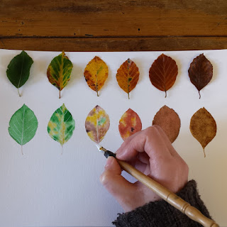 www.AliceDrawsTheLine.co.uk :: drawing Autumn Leaves