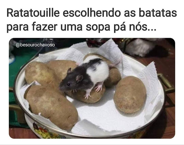 87 memes engraçados para alegrar a sua semana