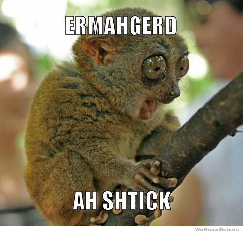 Funny Animal Memes Ermahgerd