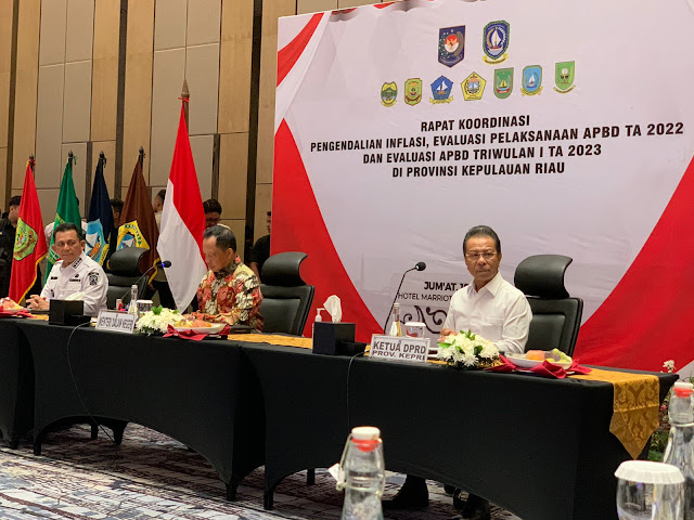 Mendagri Minta Kepala Daerah se-Kepri Mengatur Program dan Anggaran Dalam Pengendalian Inflasi