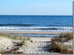 Beautiful day at the beach!