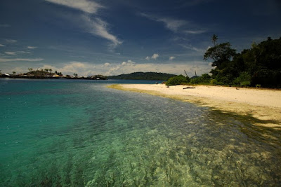 Menikmati Hutan Tropis di Pulau Malenge