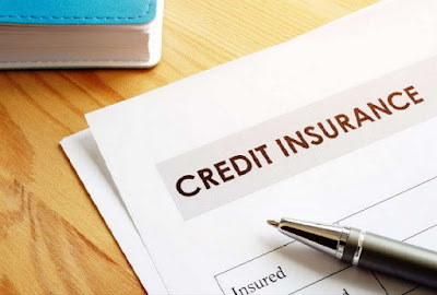 Asuransi Kredit: Pengertian, Manfaat, Jenis dan Rekomendasi Produknya