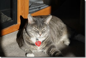 IMG_0686