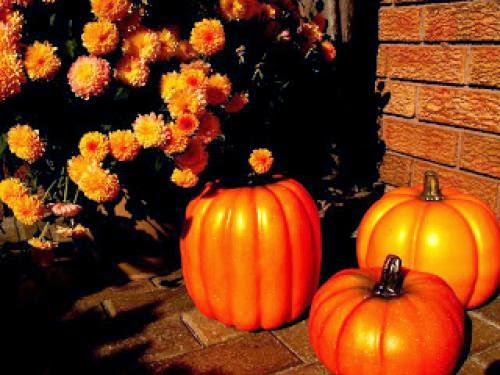 On The Eve Of October