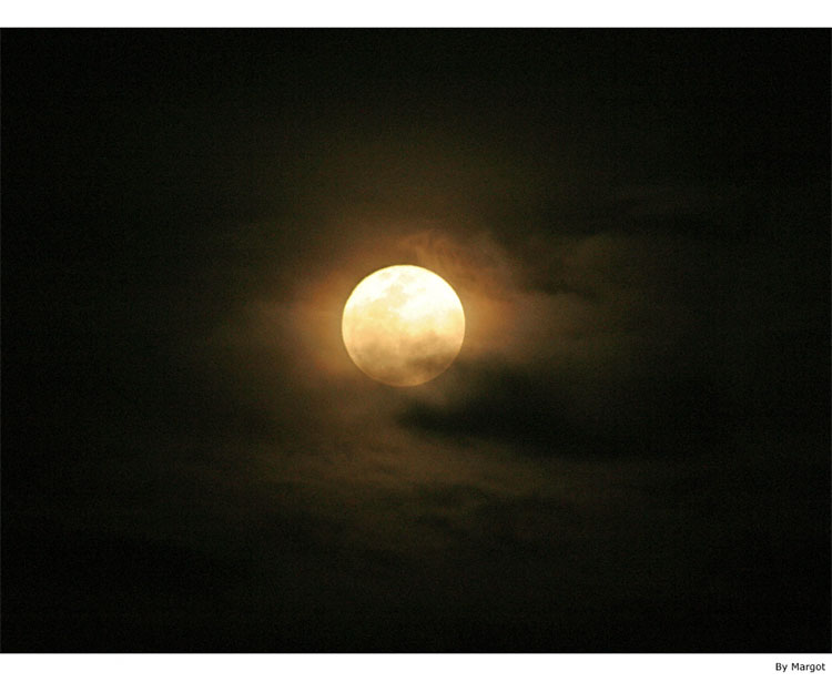 Plano de Bolso: Noite da Lua