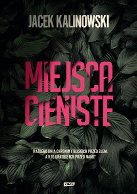 Miejsca cieniste - Jacek Kalinowski