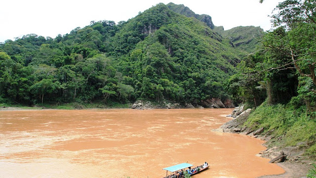 Madidi National Park, Bolivia