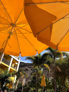 Umbrellas at Cordial Mogan Playa Hotel